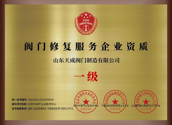 閥門修復企業(yè)資質.jpg